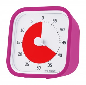  Case for Time Timer MOD, Berry
